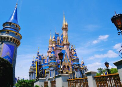 Disney World Magic Kingdom 50th Castle